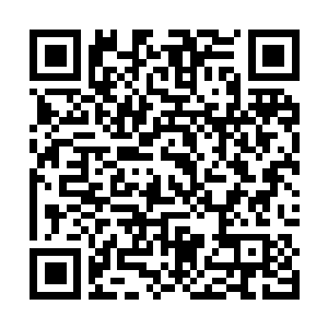 QR code linking to the 2026 School Board Primary Elections page